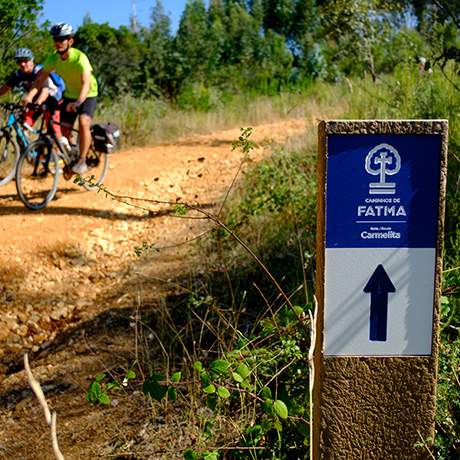 Ciclistas, Caminho do Norte, Caminhos de Fátima