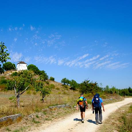 Peregrinos, Caminho do Norte, Caminhos de Fátima