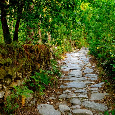 Caminho de pedras, Caminho do Norte, Caminhos de Fátima