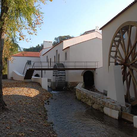 Paper Mill, Leiria